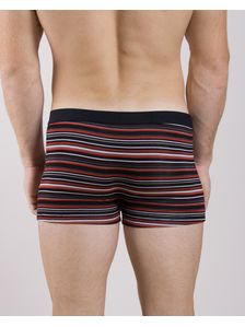 Мъжки боксерки на цветни райета 0502 на модел отзад